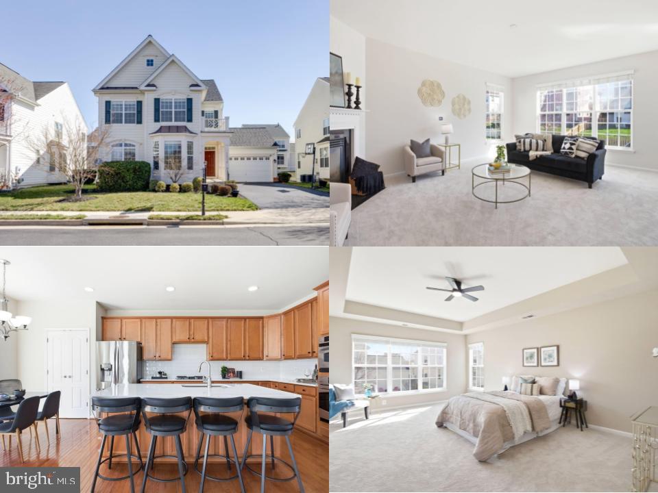 ELYSIAN HEIGHTS - Residential