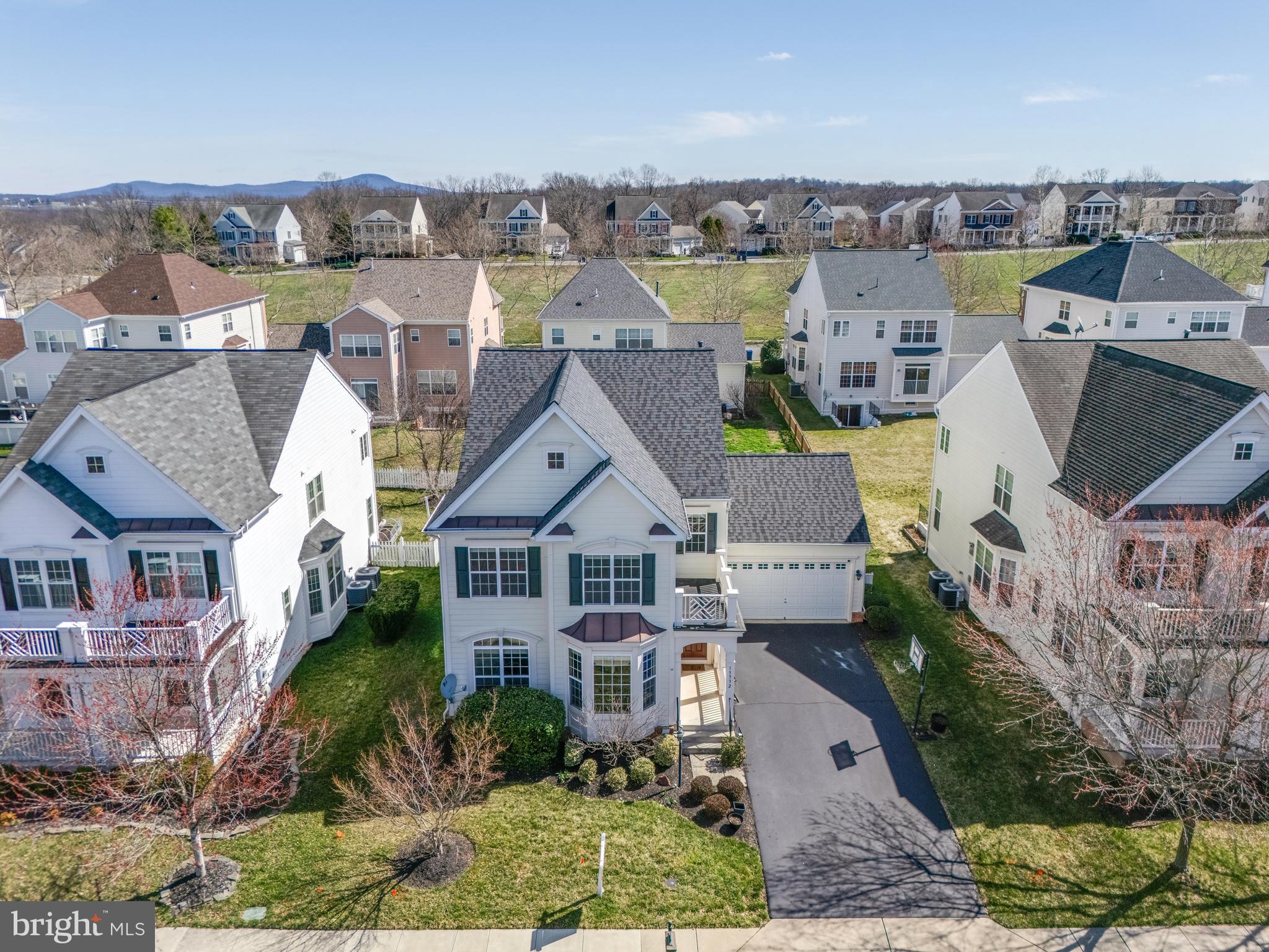 ELYSIAN HEIGHTS - Residential