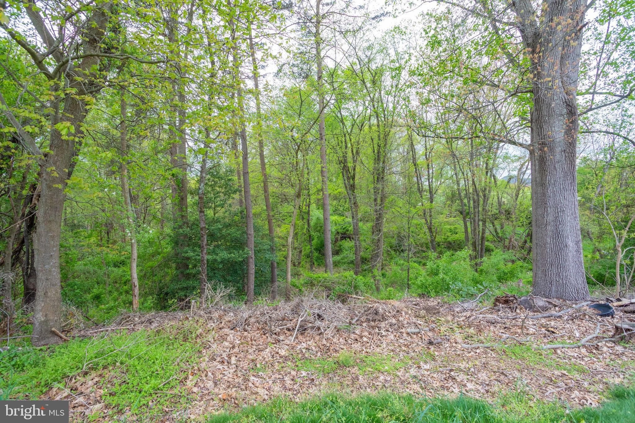 COLVIN MILL RUN - Residential Lease