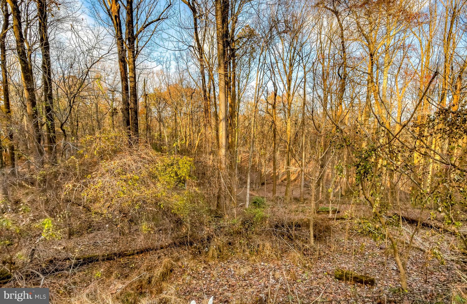 THE PINES AT DEEP RUN - Residential