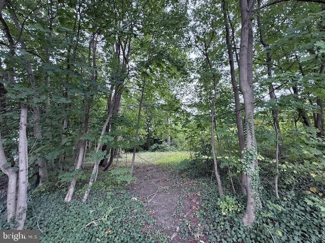 MT AIRY (WEST) - Land