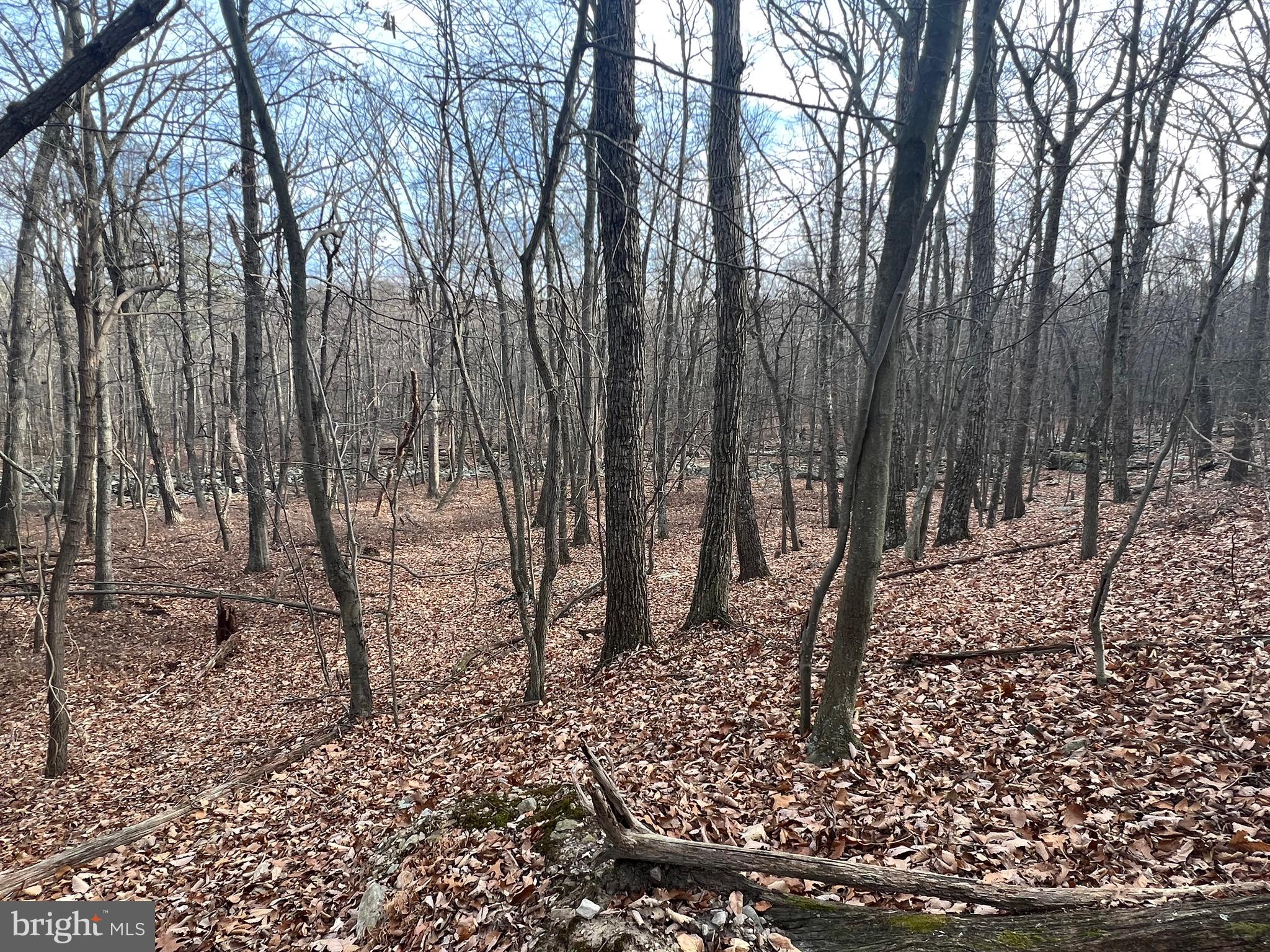 CACAPON HIGHLANDS - Land