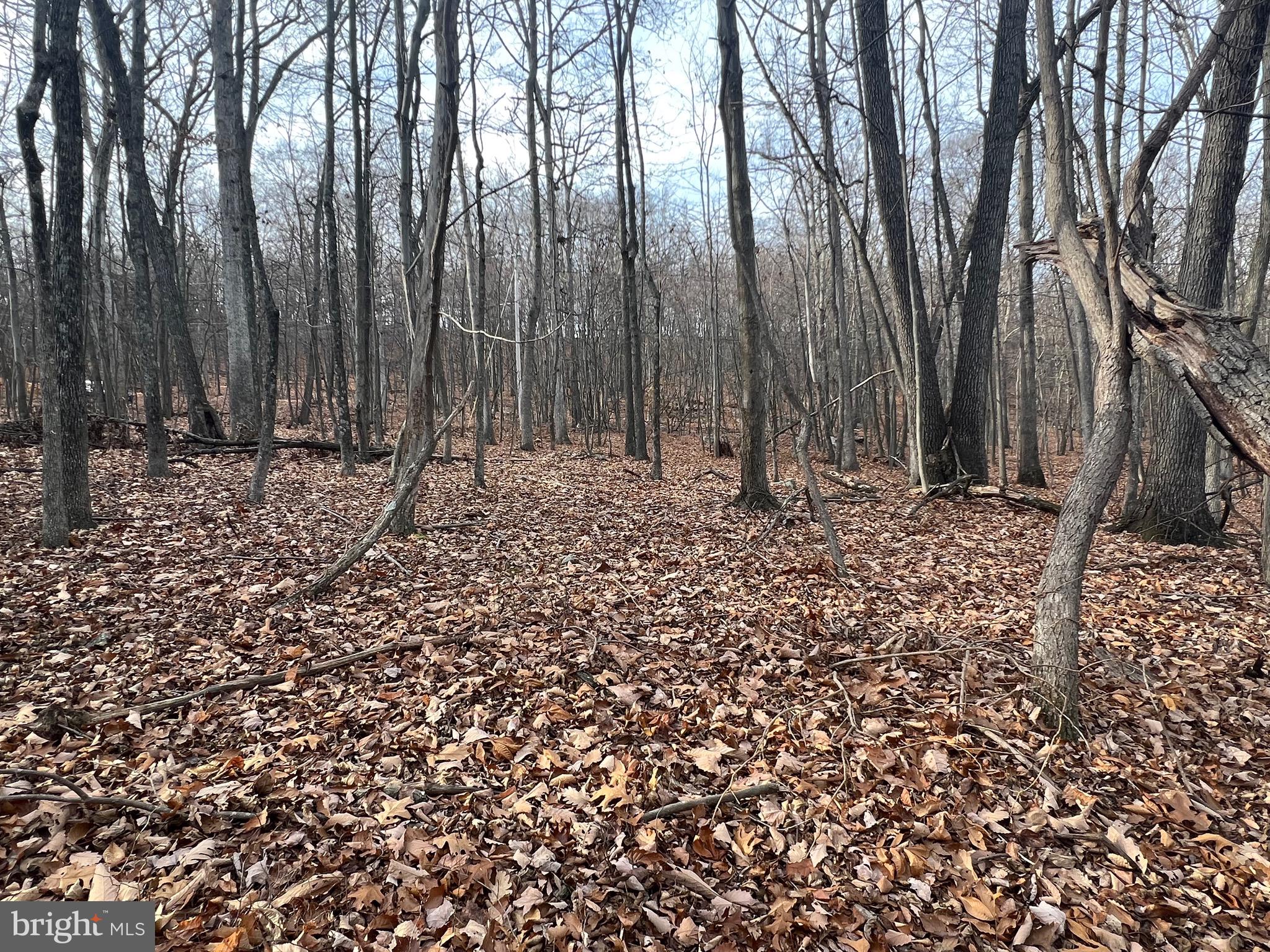 CACAPON HIGHLANDS - Land