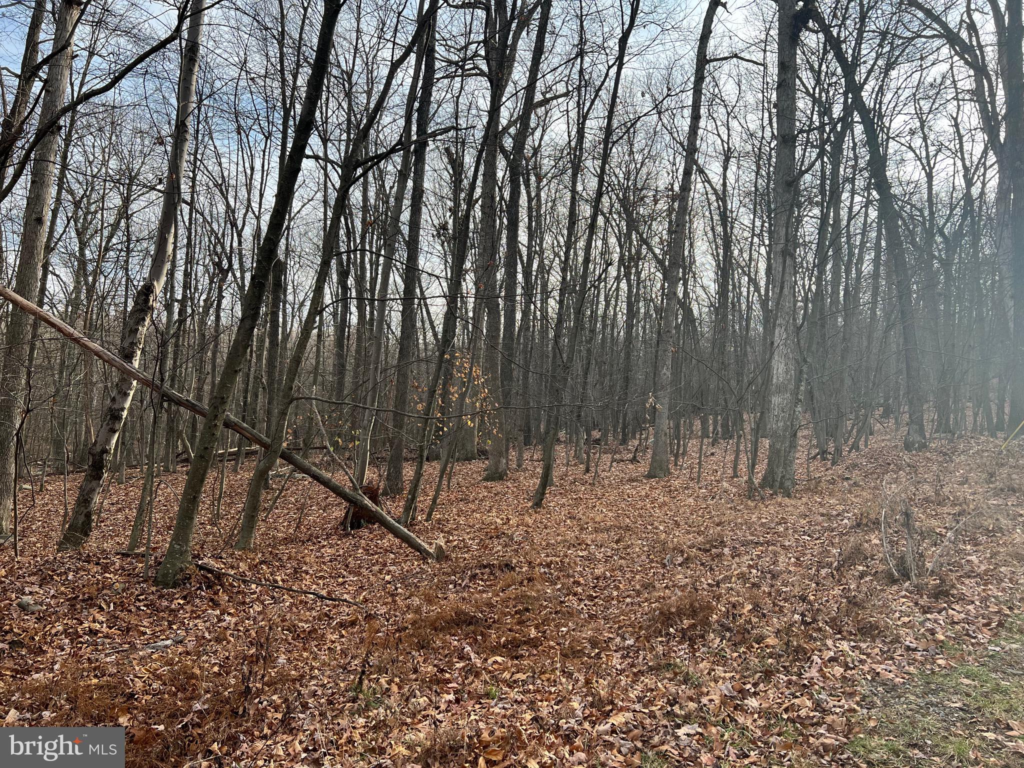 CACAPON HIGHLANDS - Land