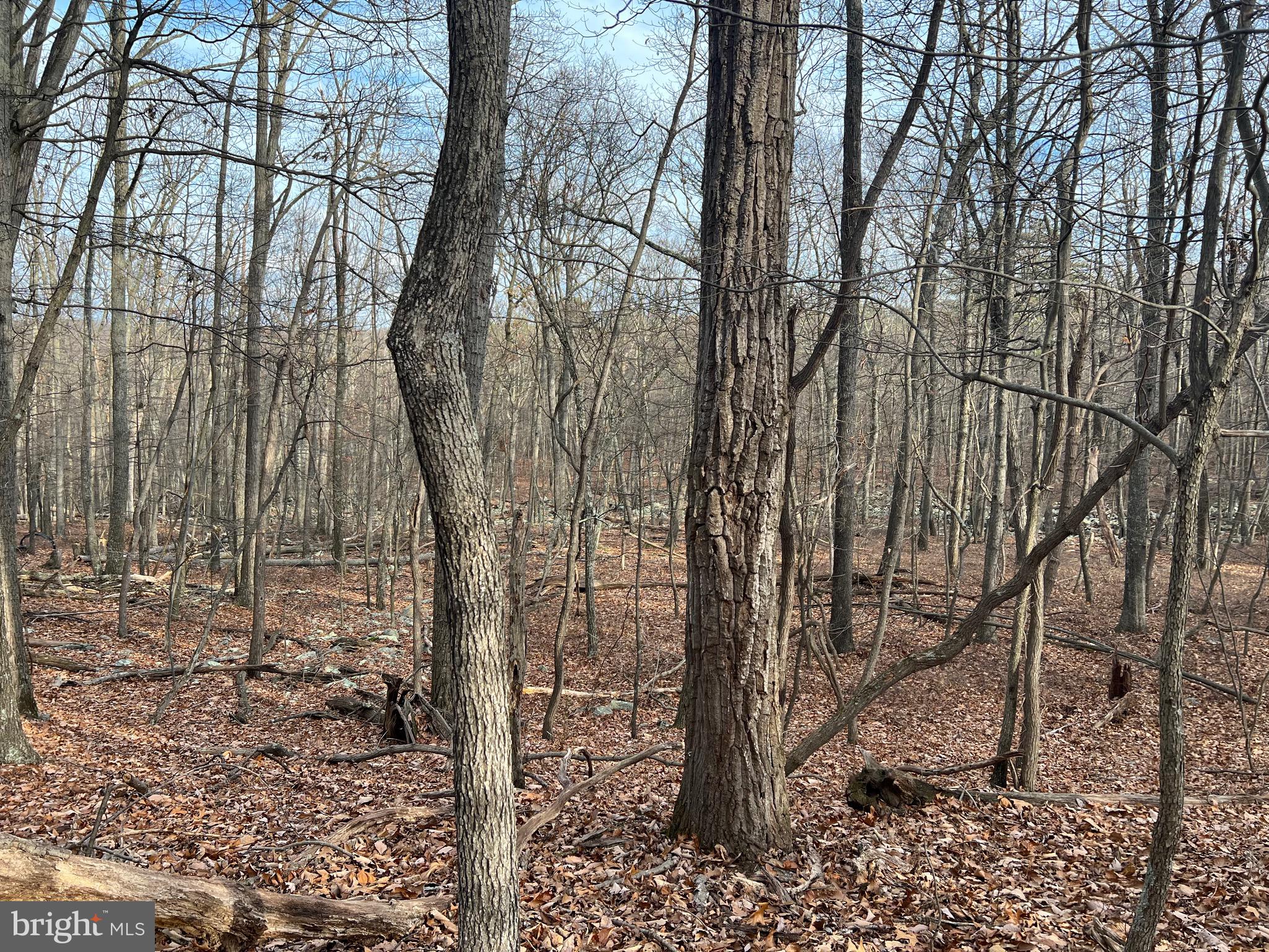 CACAPON HIGHLANDS - Land