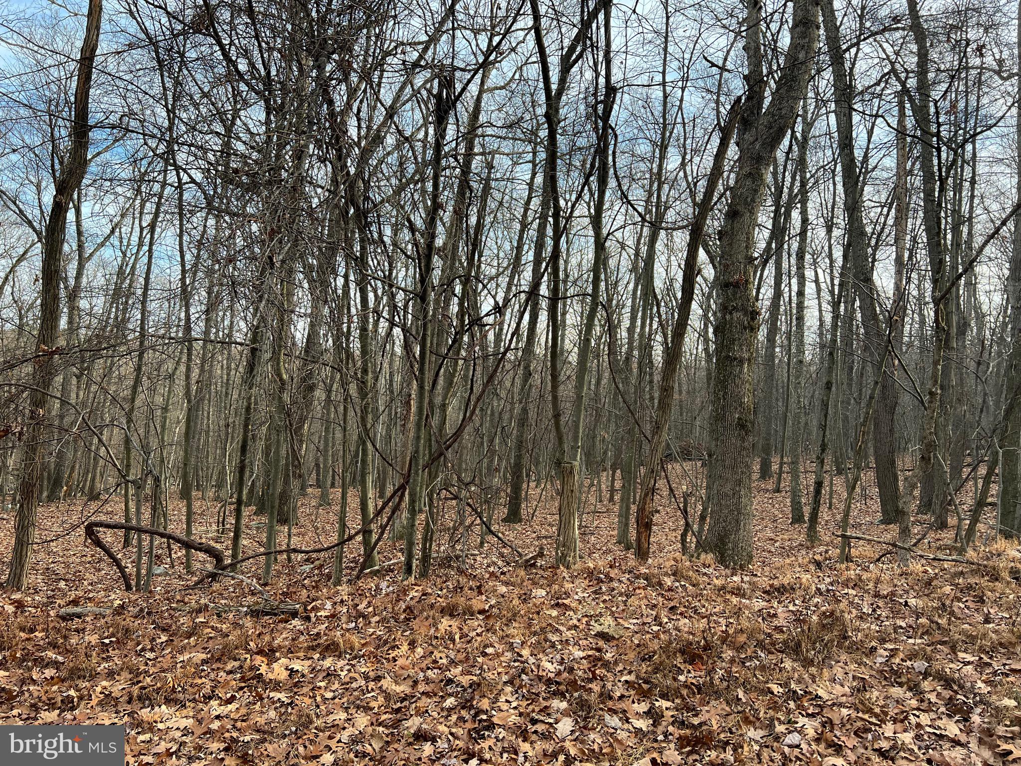 CACAPON HIGHLANDS - Land