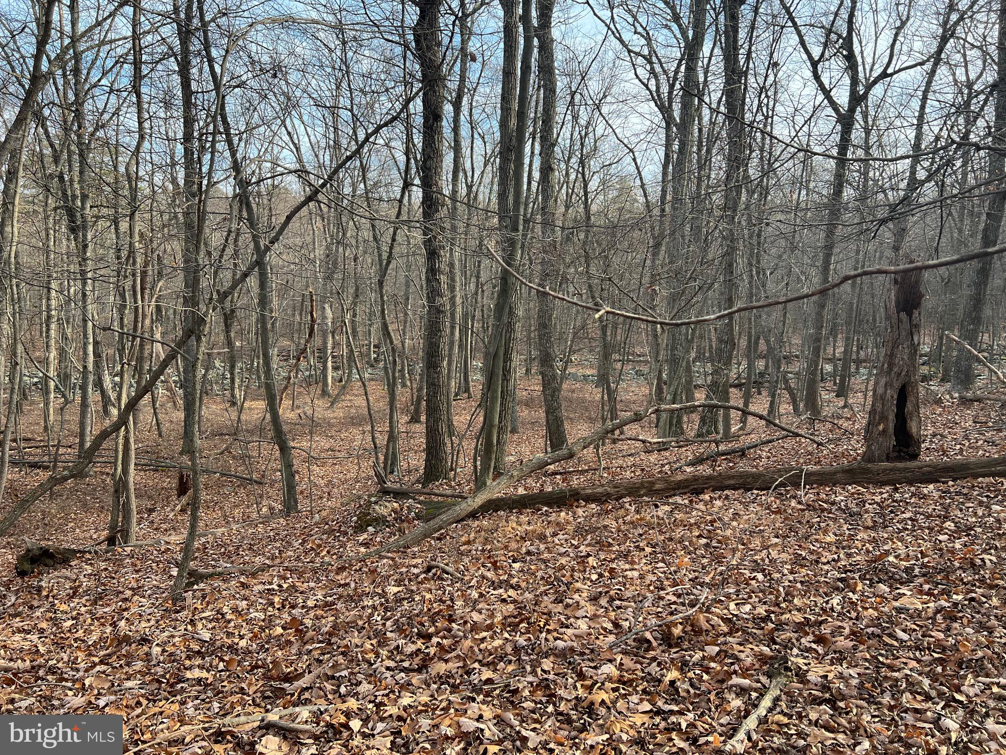 CACAPON HIGHLANDS - Land