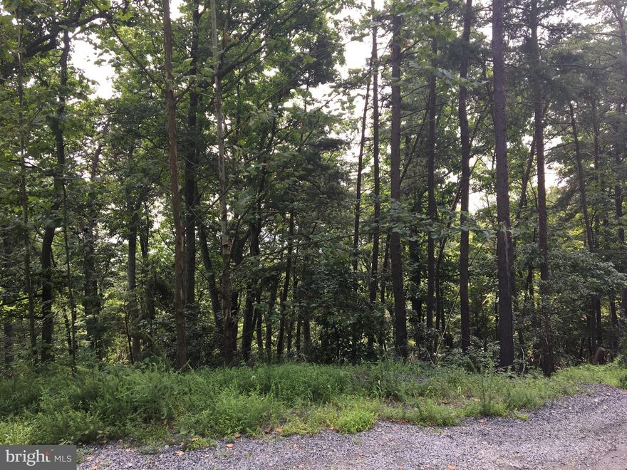 Build your mountain get away on Bull Run Mountain! Amazing view for miles and miles can be had on this lot. 2417 Jackson is For Sale (VAPW466972) as well and can be combined to have a 1+ acre site. Feasability study was done and will perc for 4 bedrooms. Feasabilty study in docs.