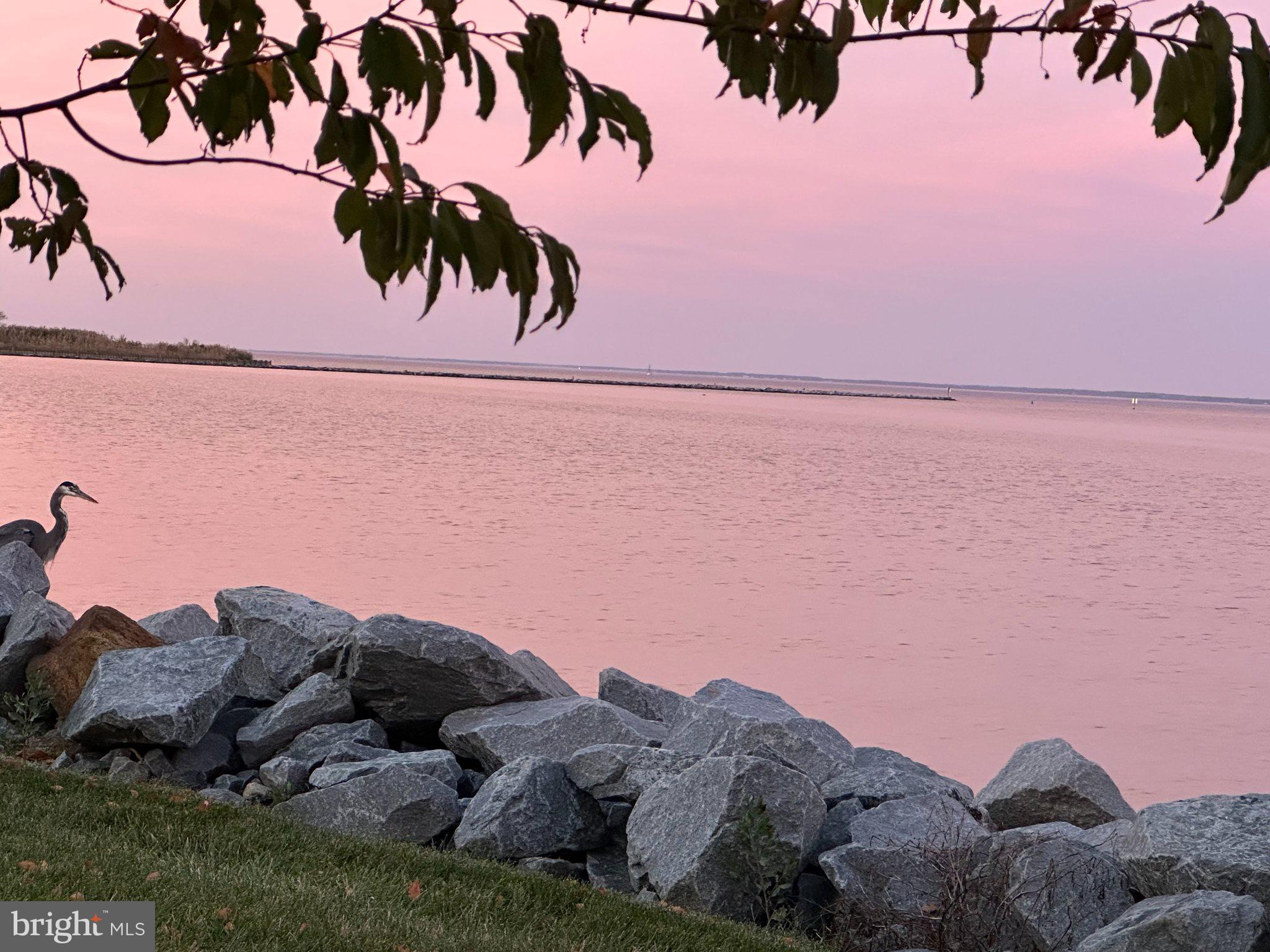 QUEENS LANDING - Residential