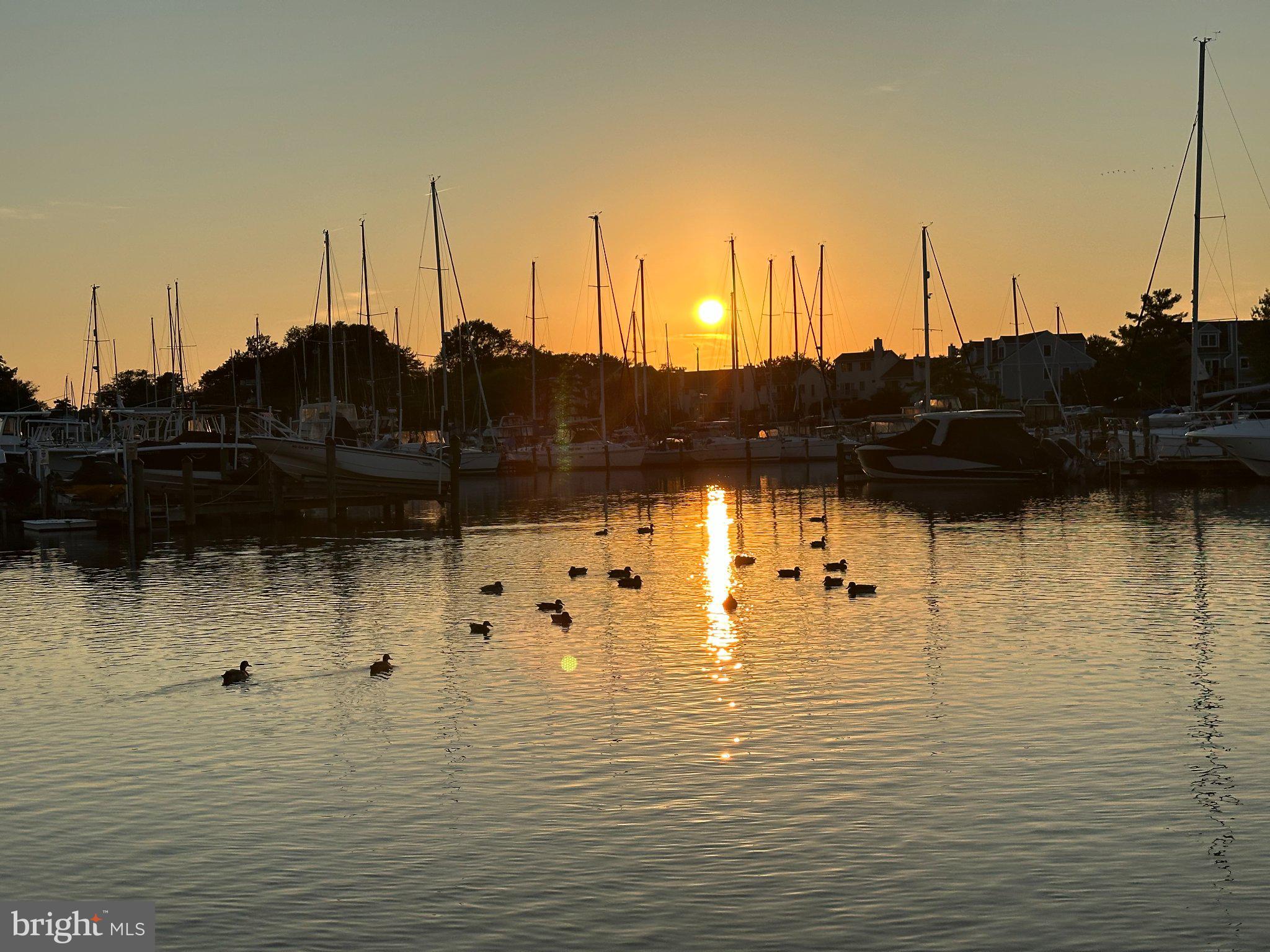 QUEENS LANDING - Residential