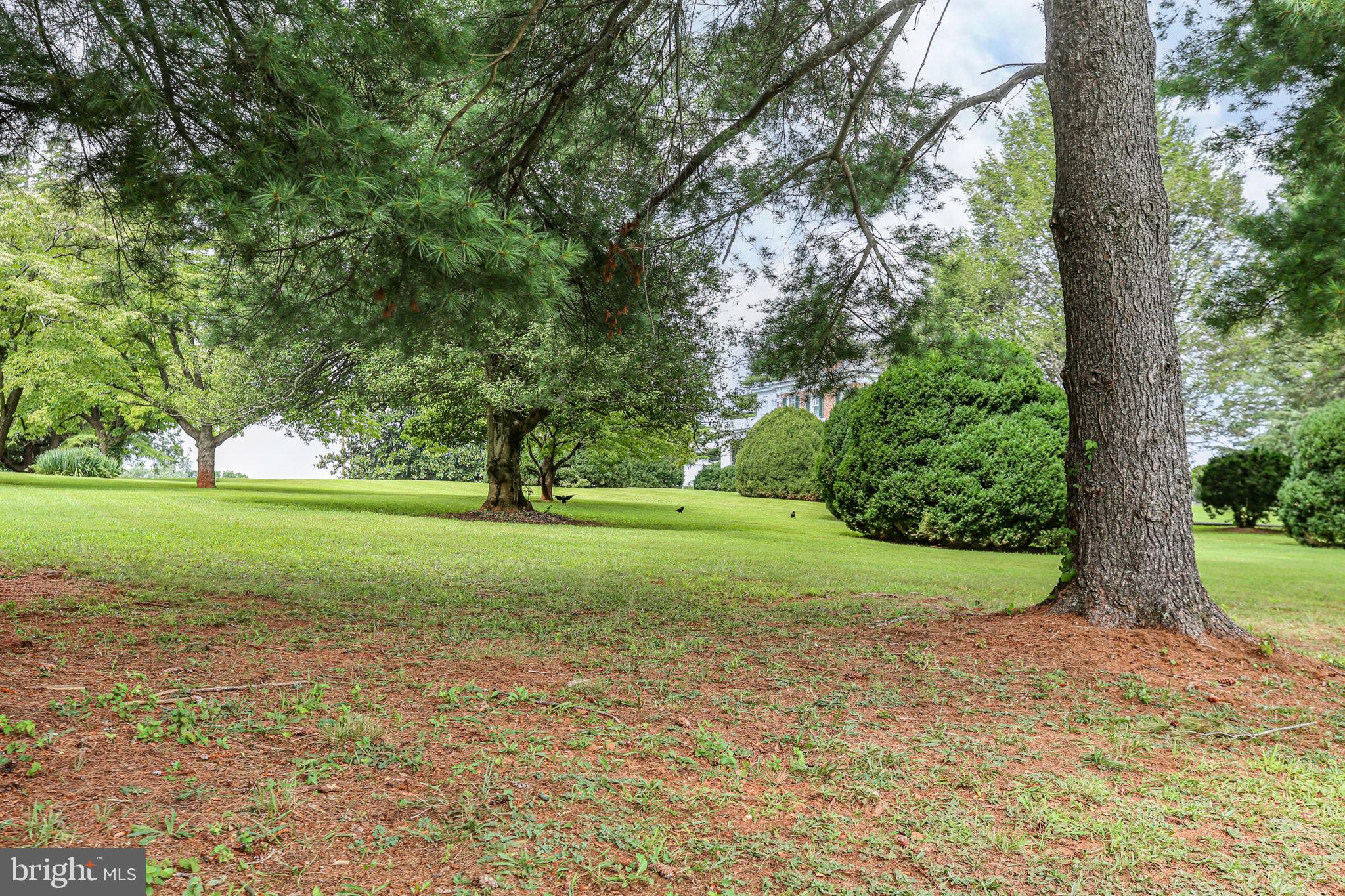 TOWN OF ORANGE - Residential