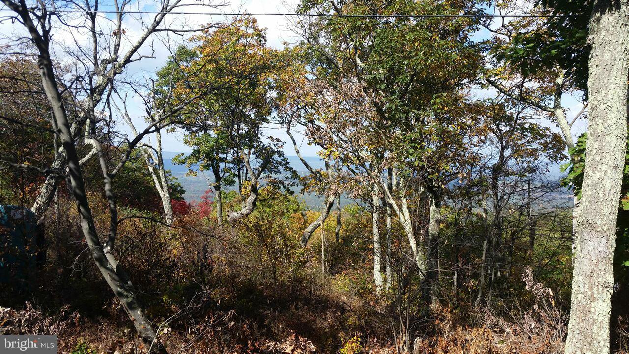 NONE AVAILABLE - Land