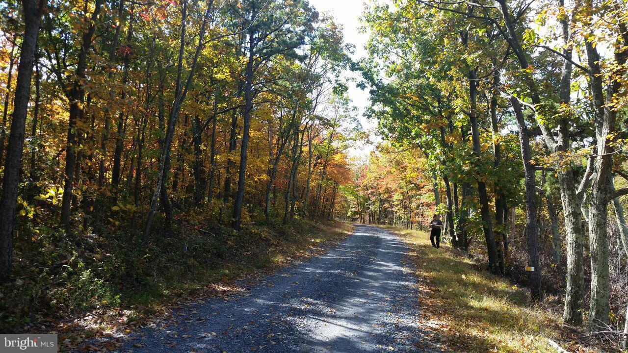 NONE AVAILABLE - Land