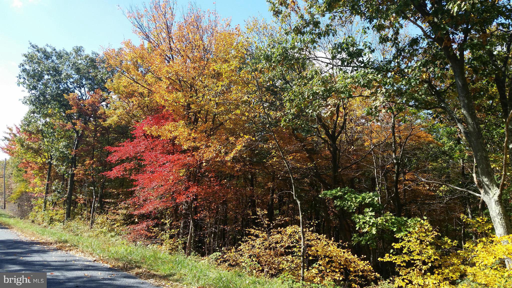 NONE AVAILABLE - Land