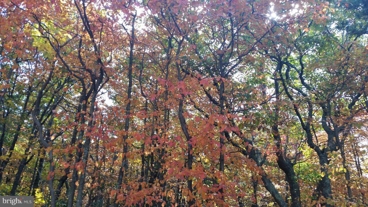 NONE AVAILABLE - Land