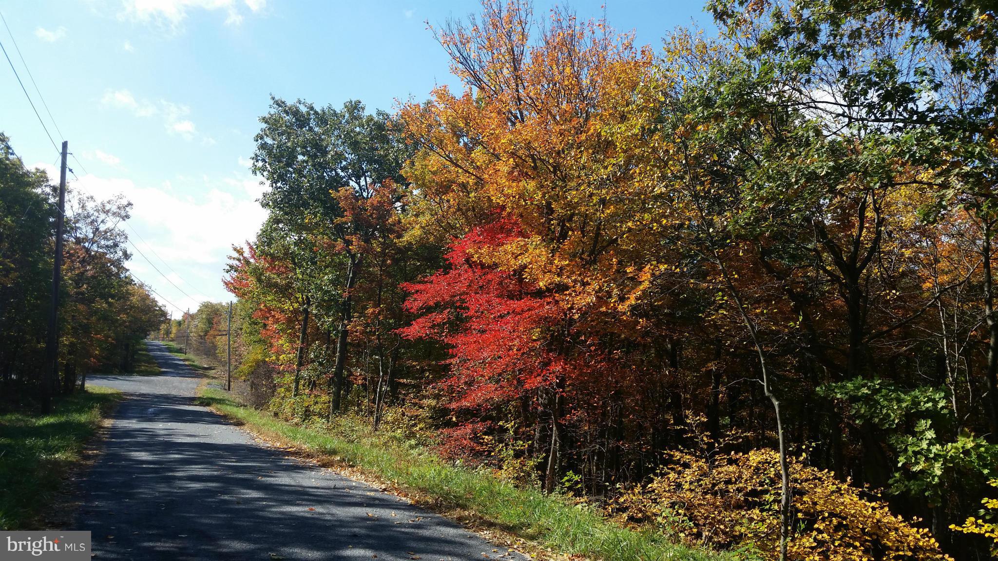 NONE AVAILABLE - Land