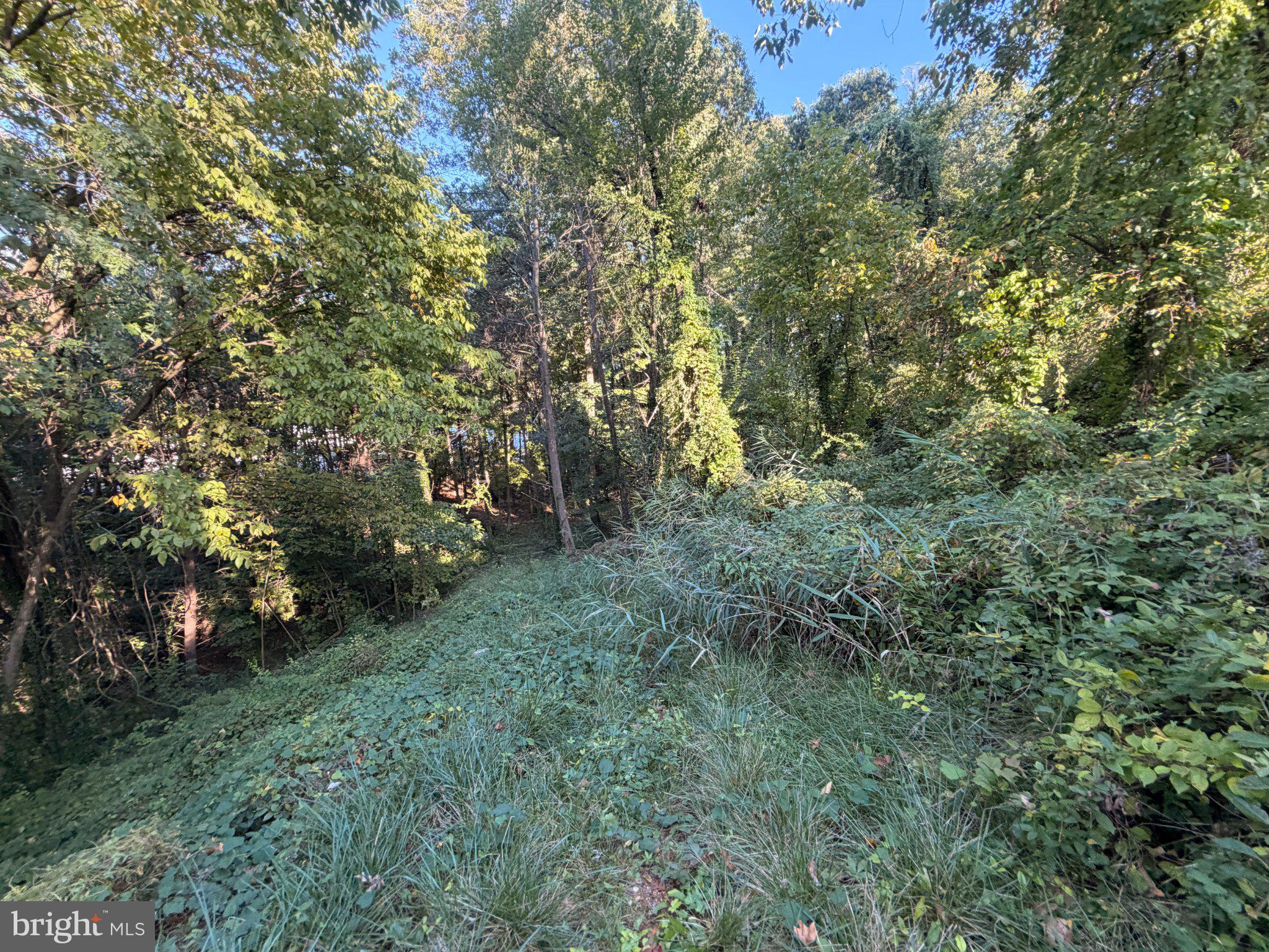 SUMTER AVENUE