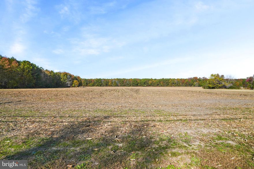 36+/- acres of agriculture land is in need of a new owner. The possibilities for development is endless. Located just outside of the incorporated town limits! This property has road frontage on the north and south bound lanes of Hopeton Rd/Rt 316 and Mason Rd/Rt 681.