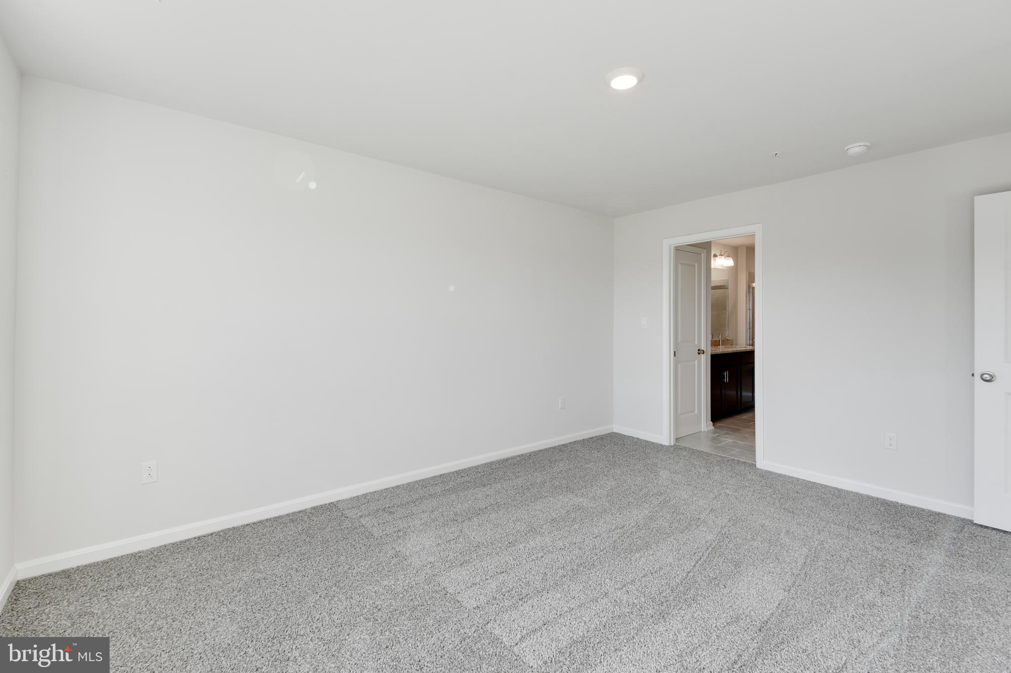 RIDGELY'S RESERVE - Residential