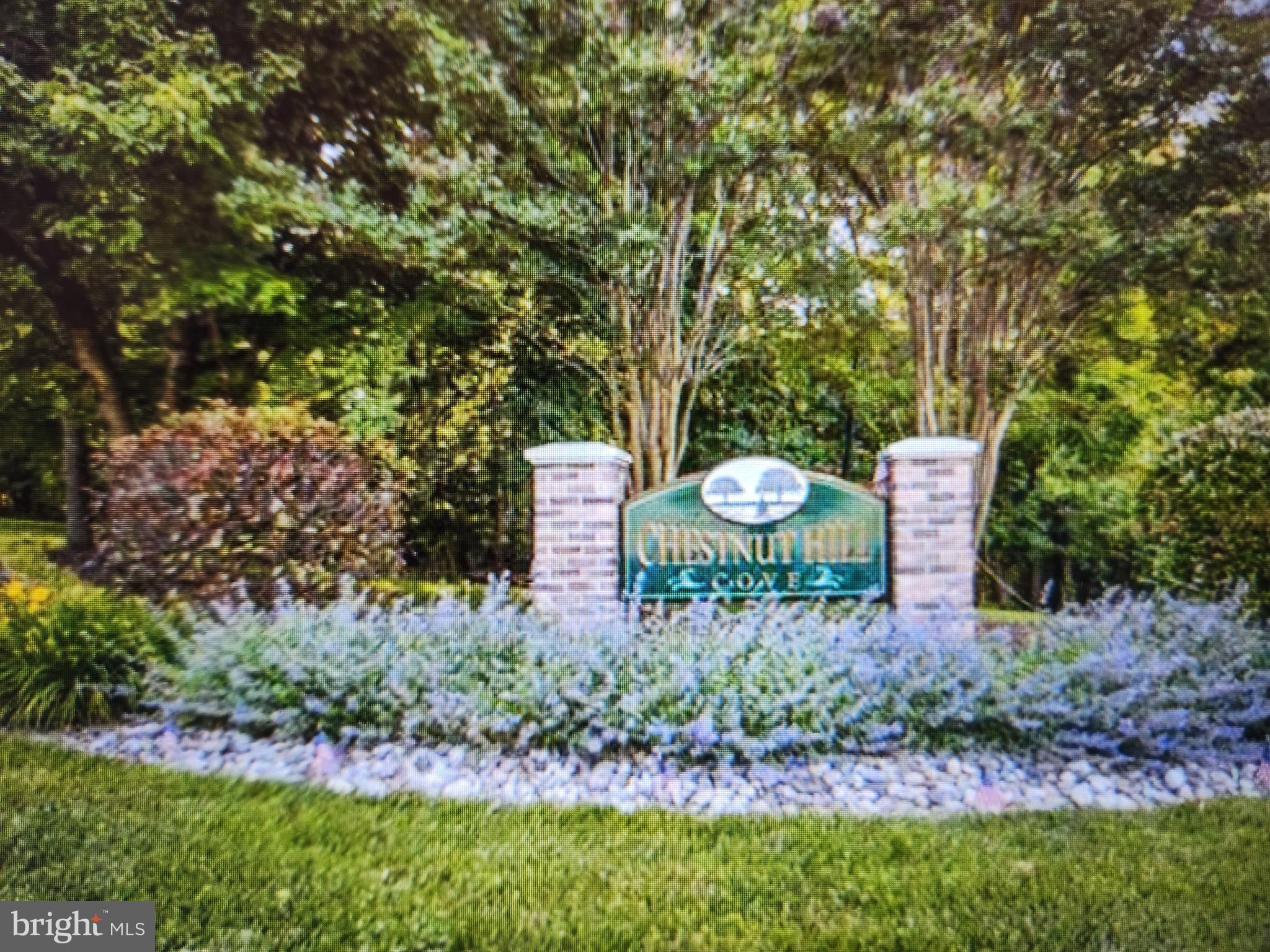 CHESTNUT HILL COVE - Residential