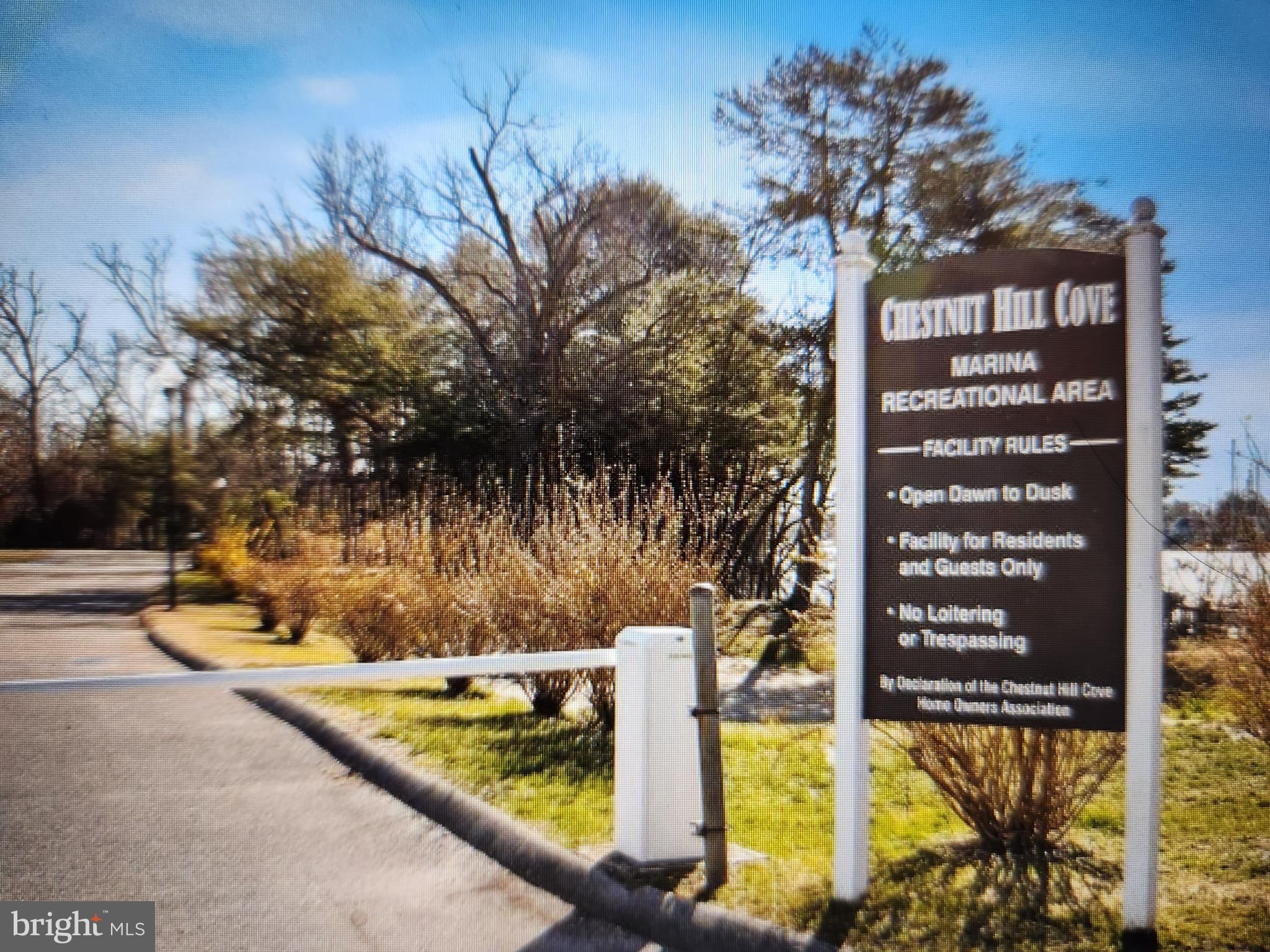 CHESTNUT HILL COVE - Residential