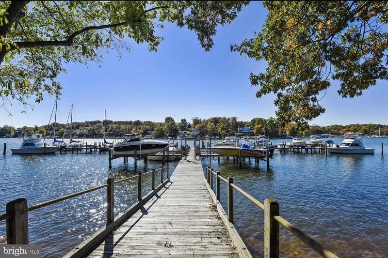 CHESTNUT HILL COVE - Residential