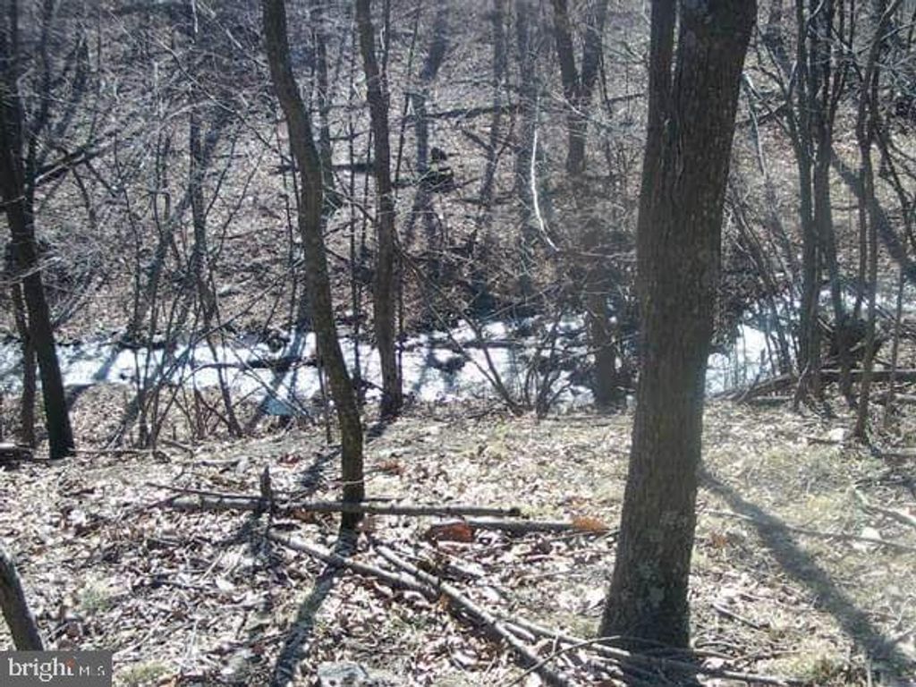 Photo of Stumpy Lane, FORT LOUDON, PA 17224 (MLS # PAFL2031674)