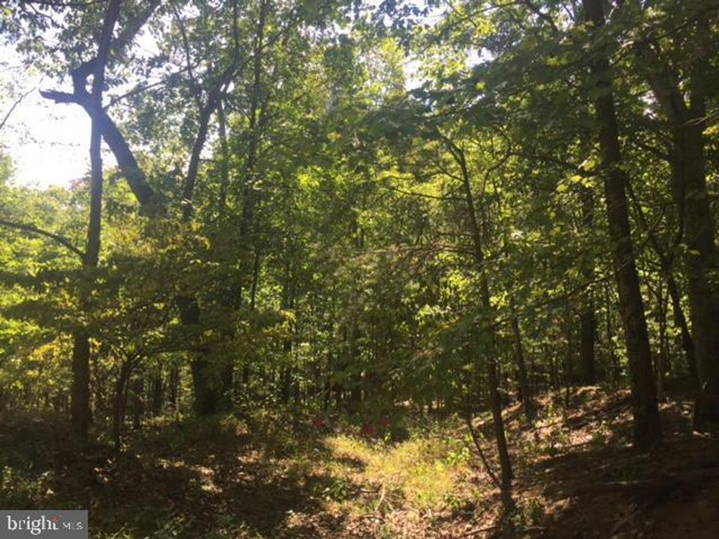 Photo of Stumpy Lane, FORT LOUDON, PA 17224 (MLS # PAFL2031674)