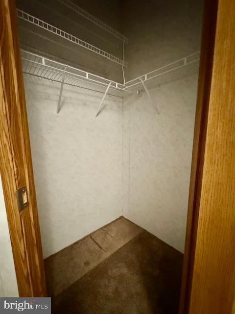 FOREST GREEN COURT - Residential