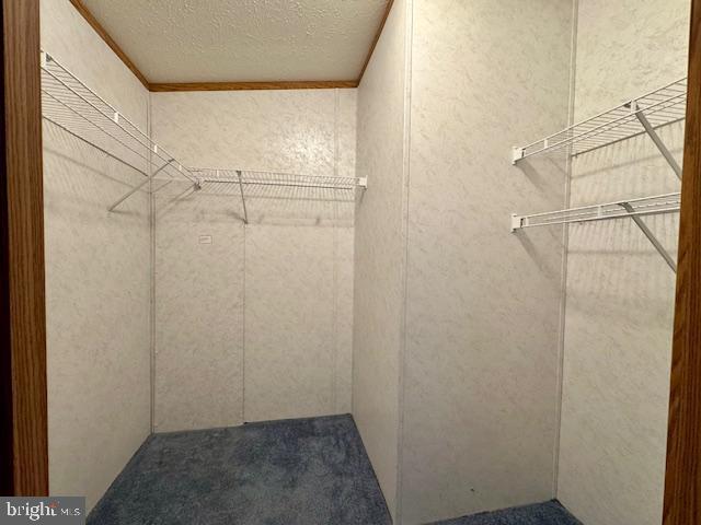 FOREST GREEN COURT - Residential