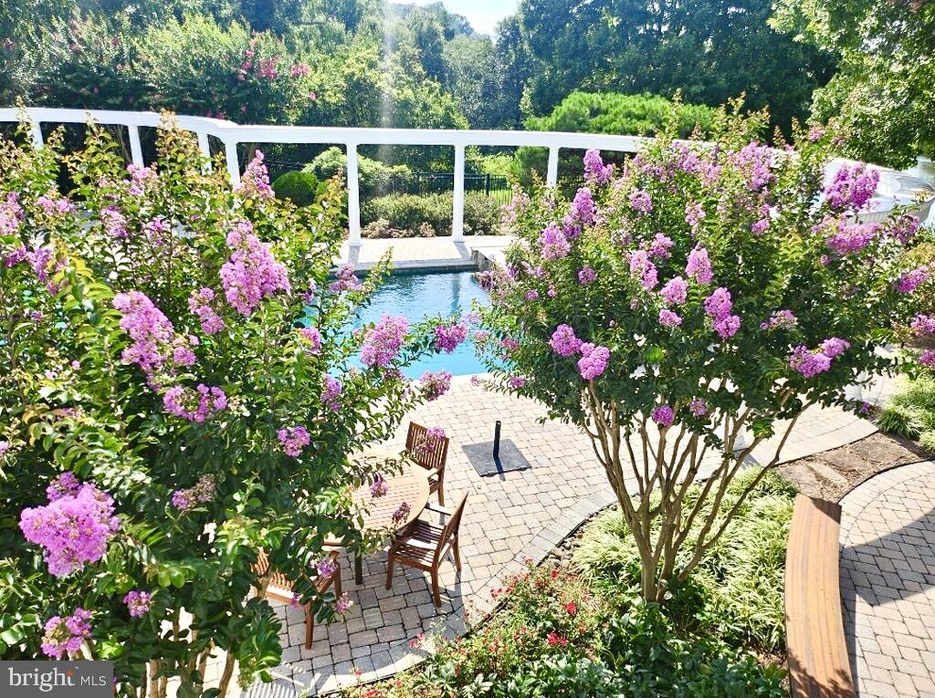 COUNTRY SPRINGS - Residential