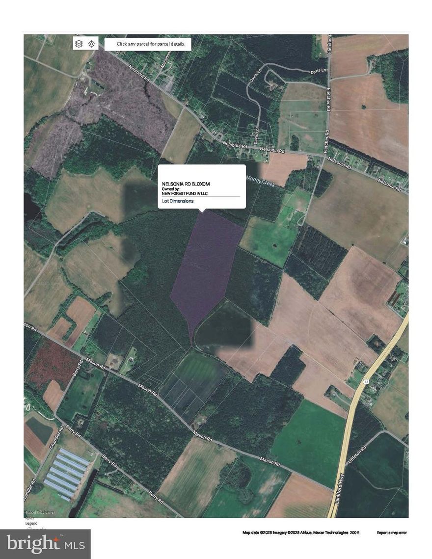 37 Acres - Should be a great place for hunting and recreation and just getting away.