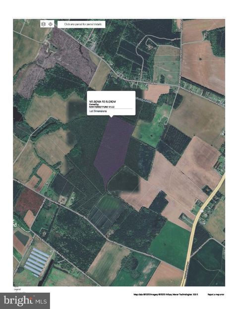 Vacant Land For Sale - Nelsonia Road<br/> BLOXOM, VA 23308