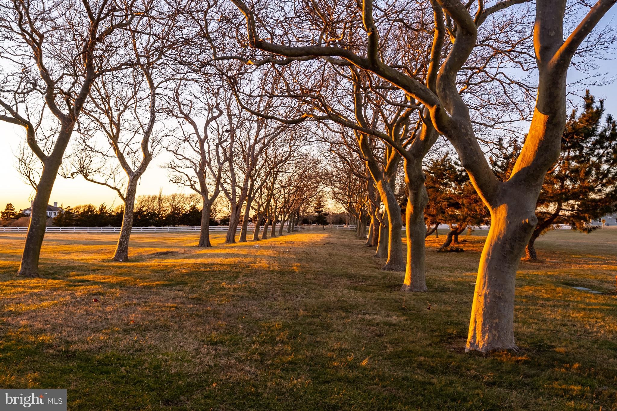 SOUTH POINT FARMS - Residential