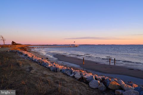 listing image 101