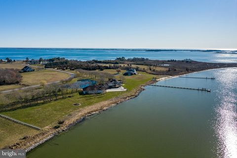 listing image 140