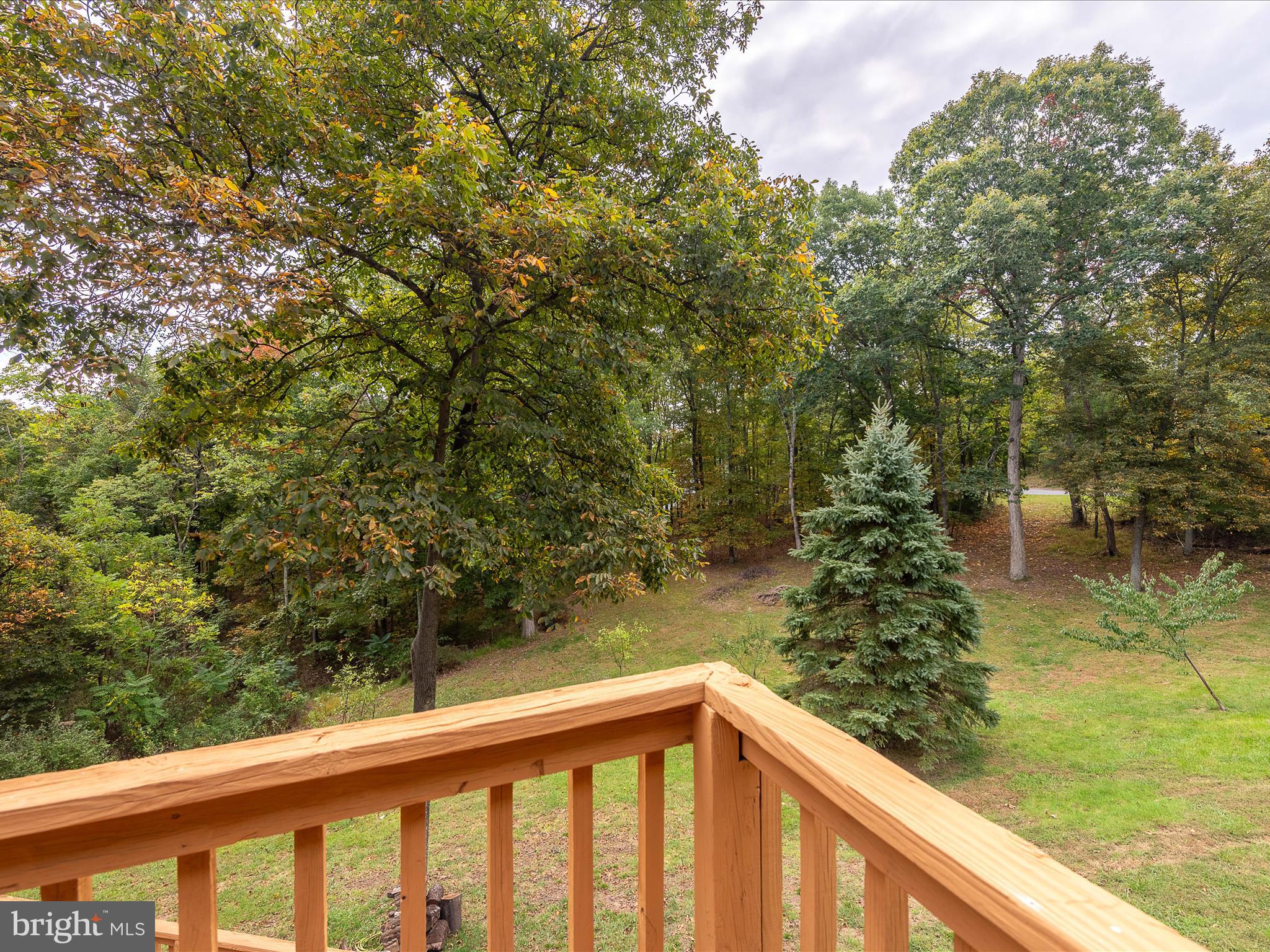 MEADOWS OF ARDEN - Residential