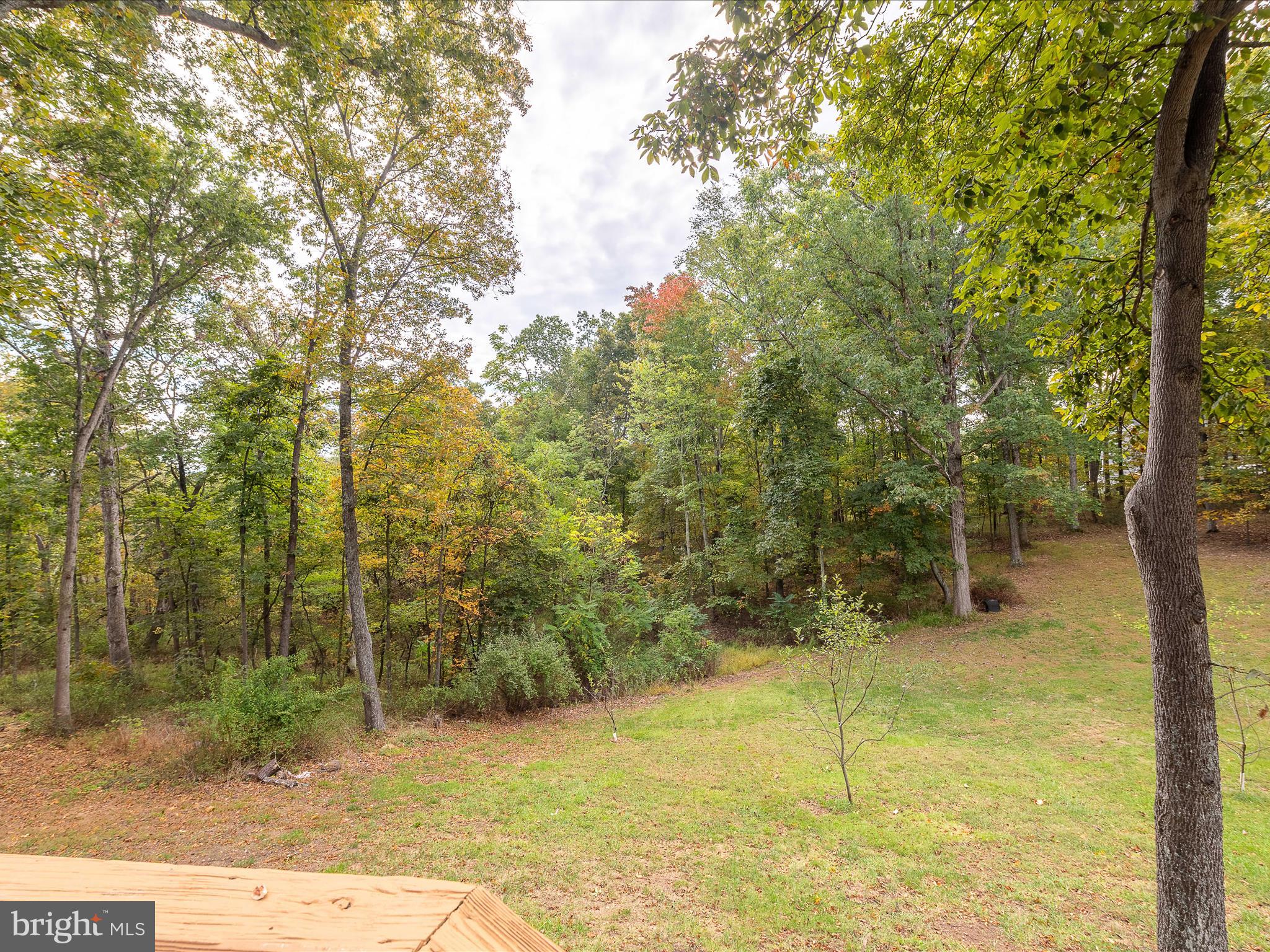 MEADOWS OF ARDEN - Residential