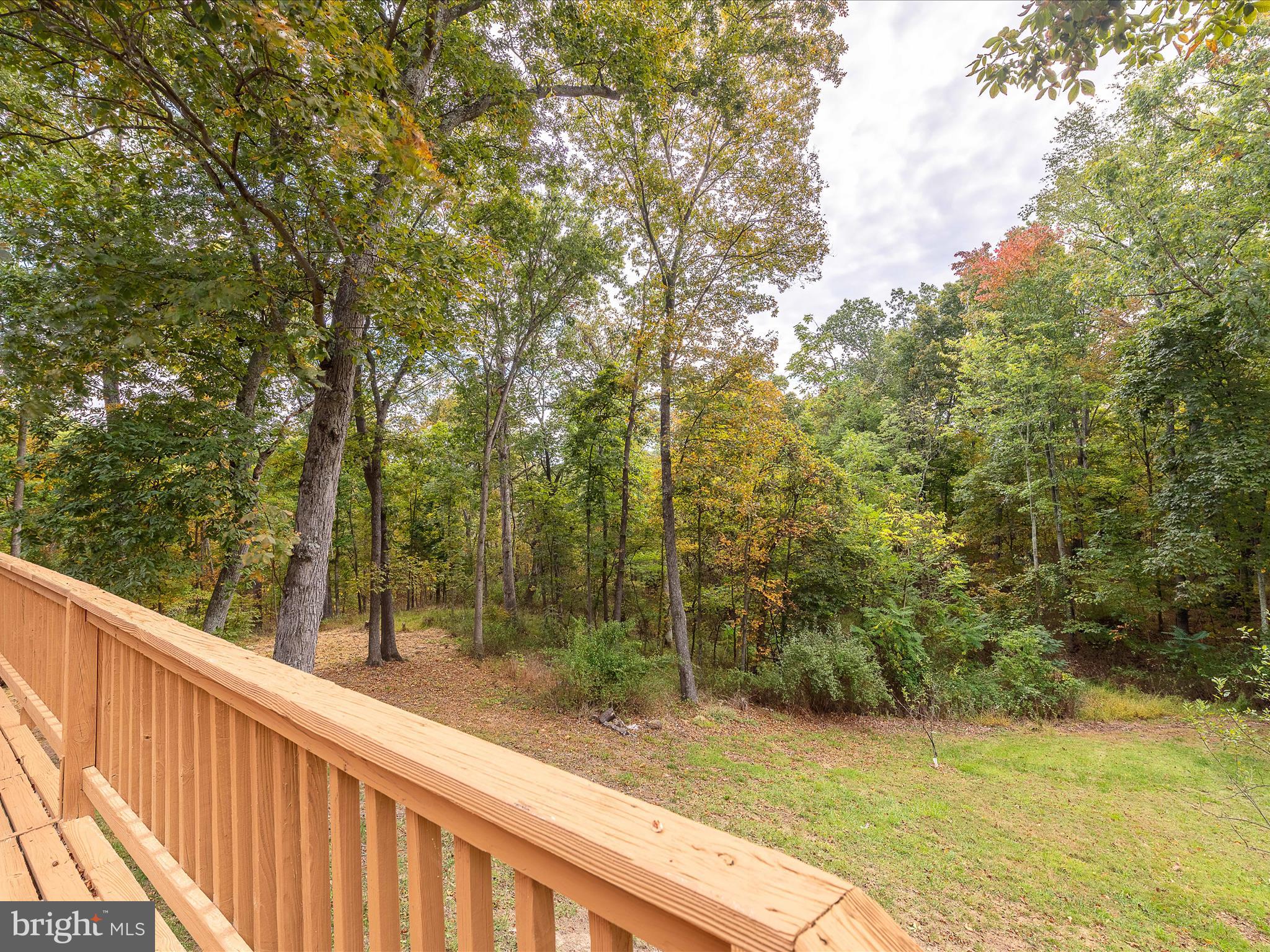 MEADOWS OF ARDEN - Residential