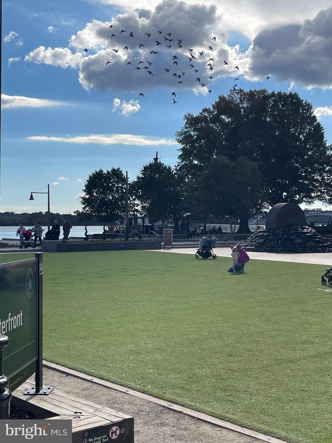 CARLYLE TOWERS CONDOMINIUM - Residential