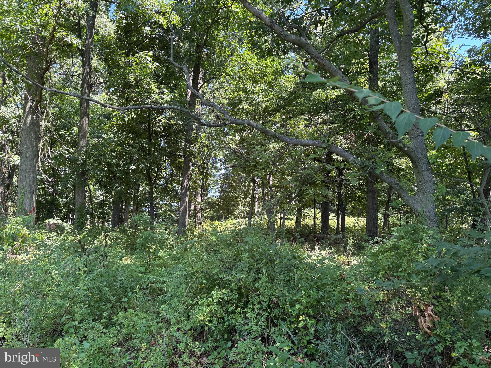 0 OLD HANOVER ROAD