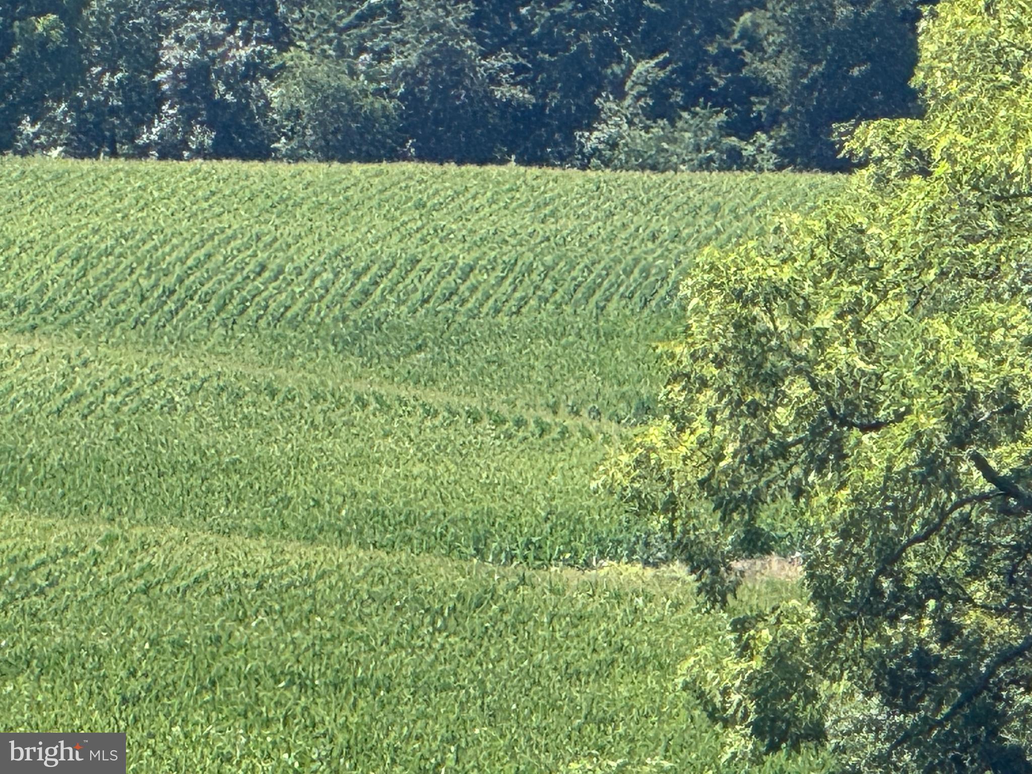 0 OLD HANOVER ROAD