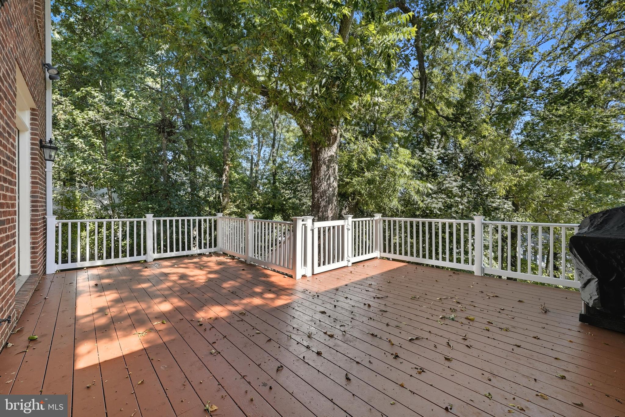 EDDINGTON TERRACE - Residential