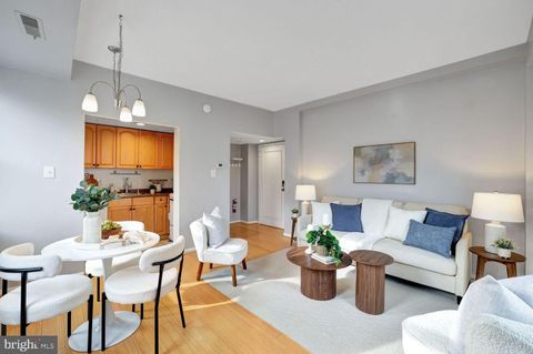 1133 13TH STREET NW 704 WASHINGTON DC 20005