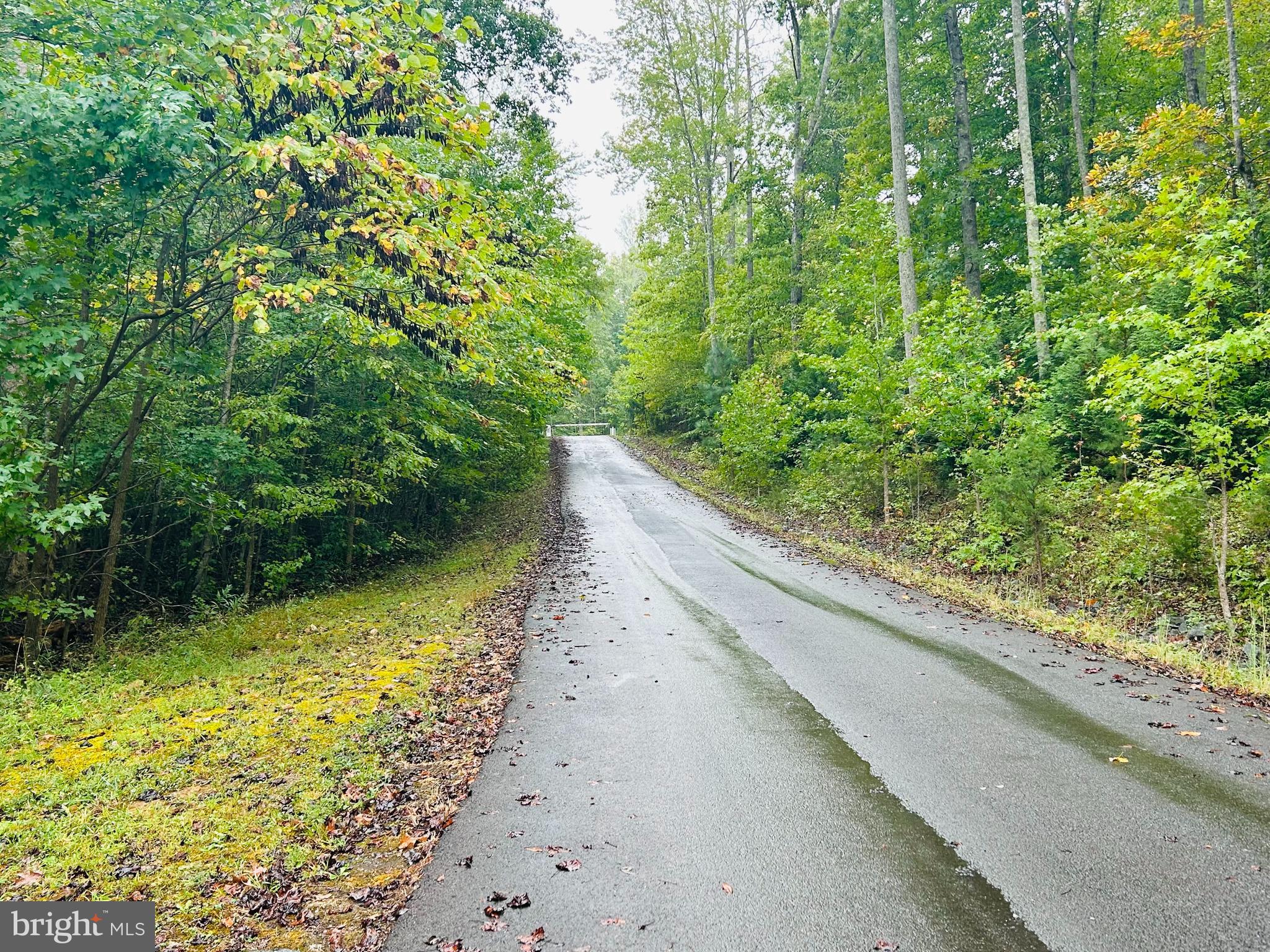 FRESHWATER ESTATES - Land