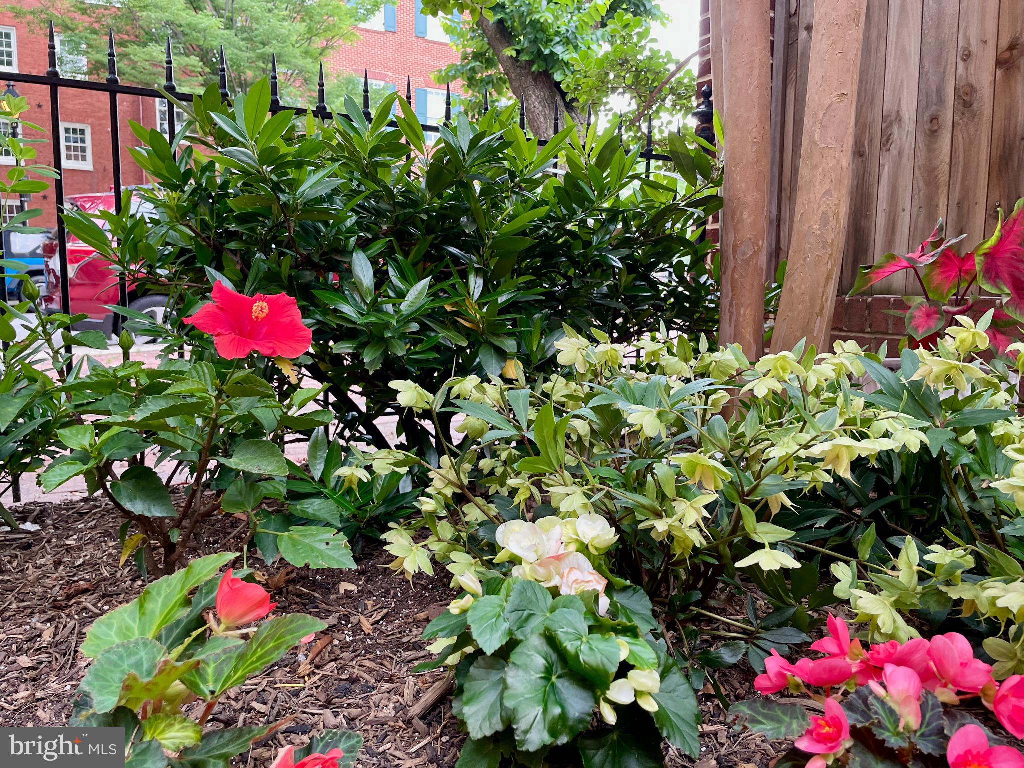 OTTERBEIN - Residential