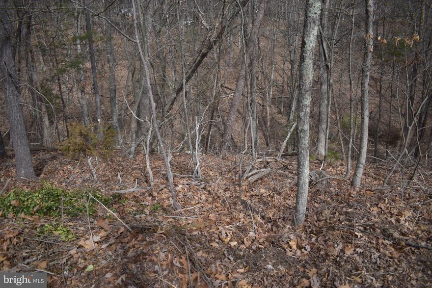 Looking for a buildable lot just down the road from the Bryce Resort?  Look no further this lot is just down the road from the resort for skiing, tubing, ice skating, biking and many other amenities.  Perfect spot for your dream or vacation home in the mountains.  Don't let this lot get away, check it out today.