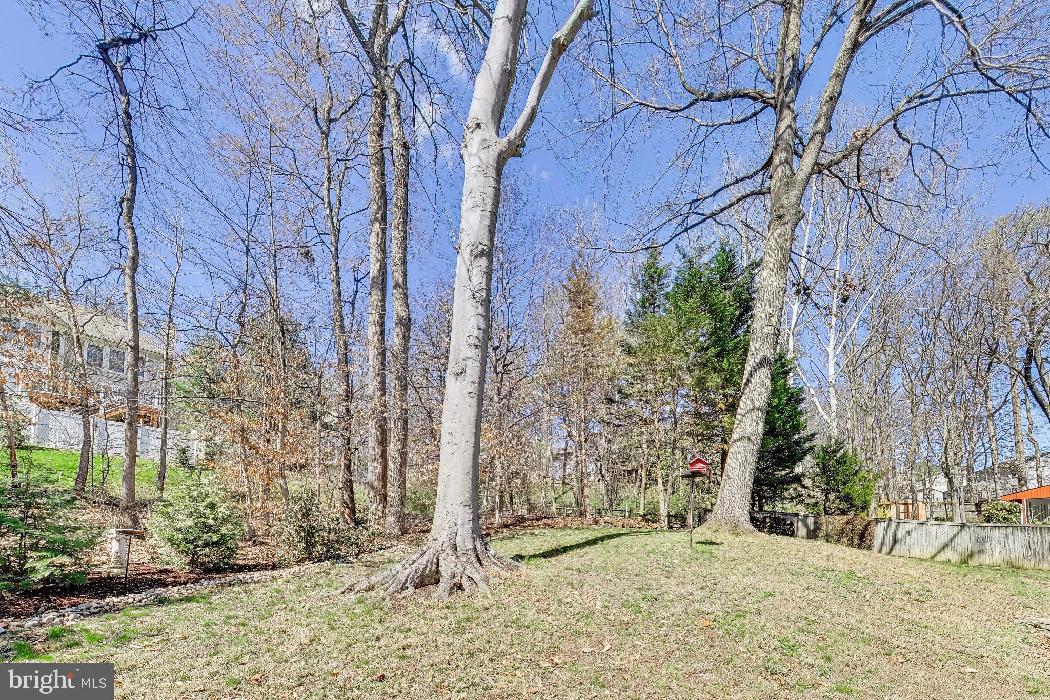 TERRA GRANDE - Residential