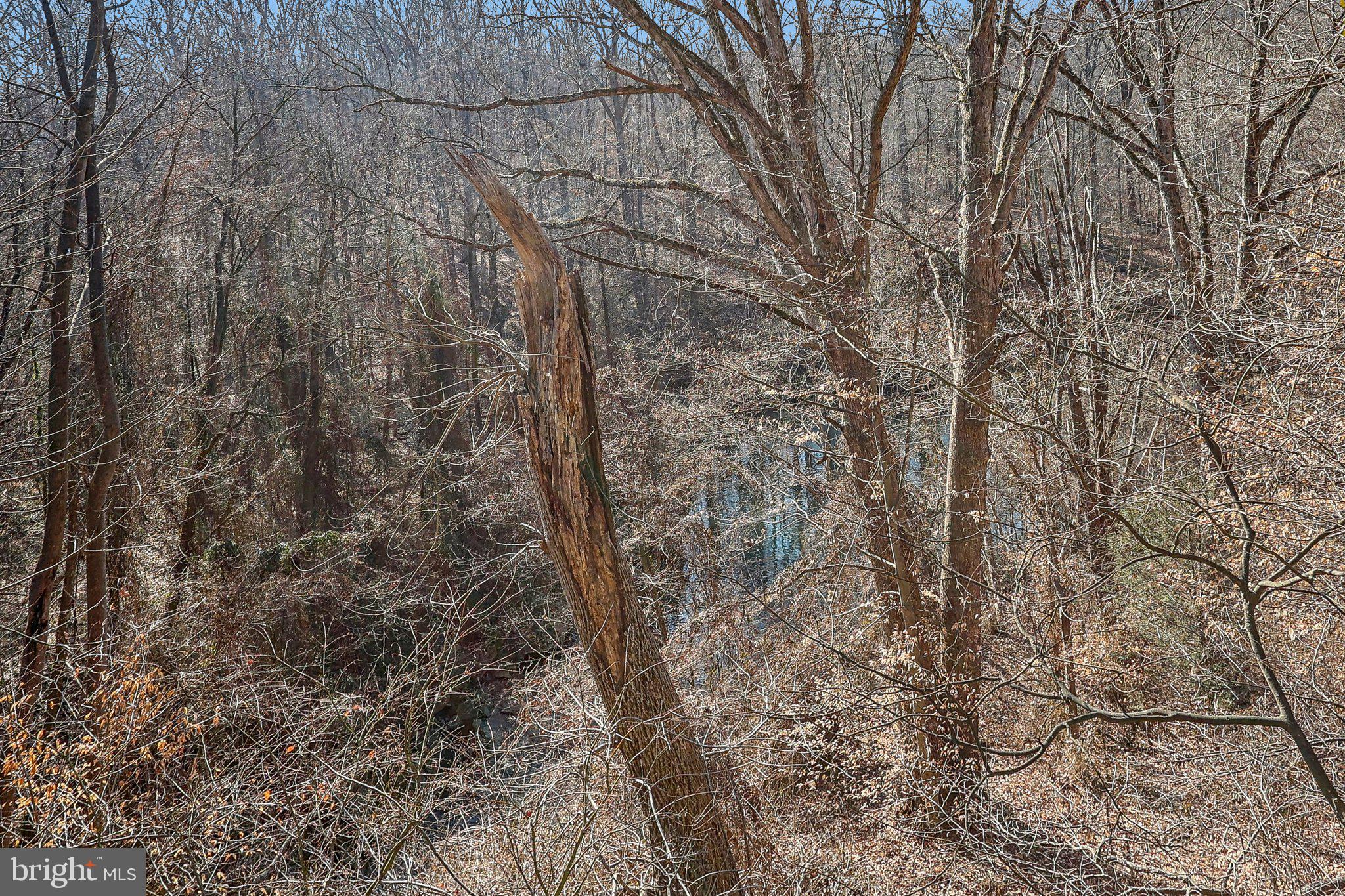 BROOKMONT - Residential