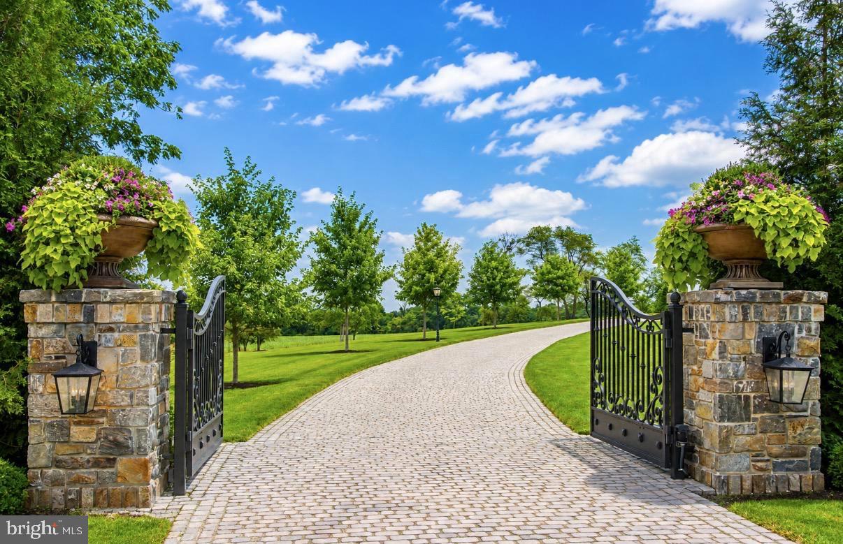 6 TINES FIELD PATH